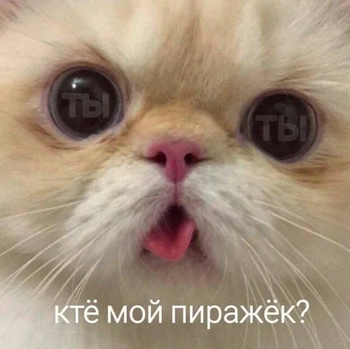 Sticker MLNKITT_by_fStikBot - 1