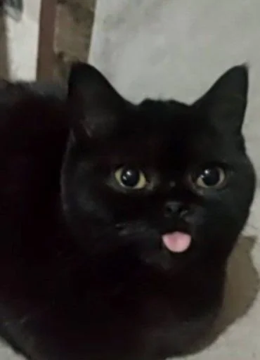 Sticker MLeJjjA_by_sticbot - 1