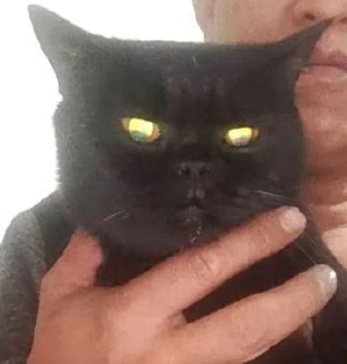 Sticker MLeJjjA_by_sticbot - 1