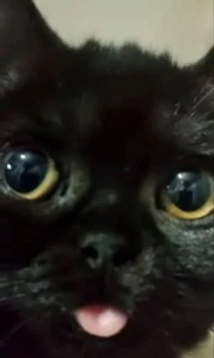 Sticker MLeJjjA_by_sticbot - 1