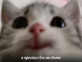 Стикер Больше стиков тут: @stikery4 - 10