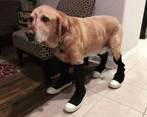 Sticker MNkxtsH_by_stickers_stealer_bot - 1