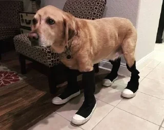 Стикер Больше стикеров: @sticerru - 8