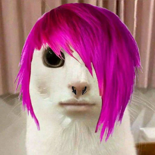 Стикер MOIOTOteam - 1