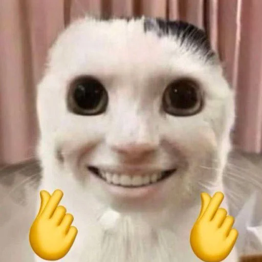 Sticker MOIOTOteam - 1