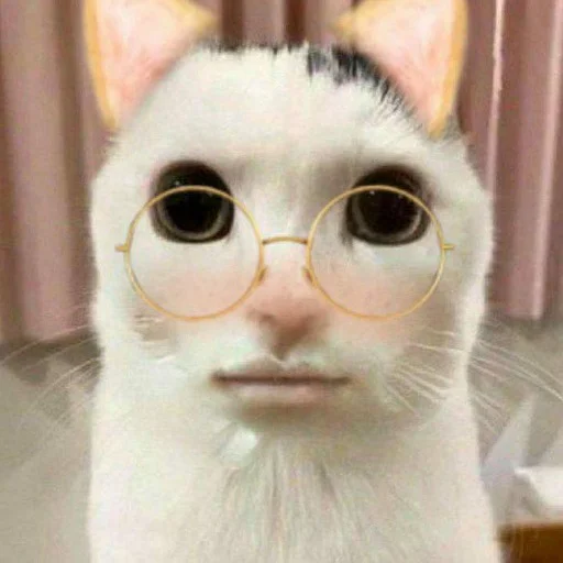 Sticker MOIOTOteam - 1