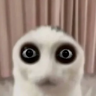 Sticker Ломка Ульяны - 2