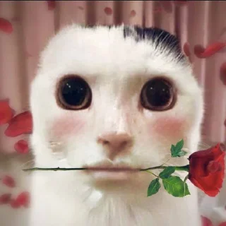 Sticker Ломка Ульяны - 5