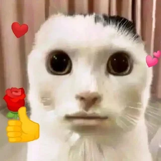 Sticker Ломка Ульяны - 4