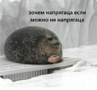 Стикер MOOD3 - 4