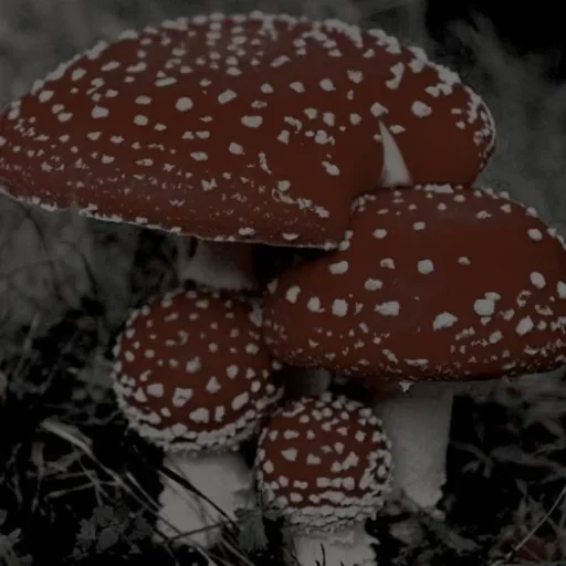 Больше стиков тут: @stikery4 - 