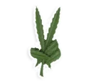 Sticker weed - 1