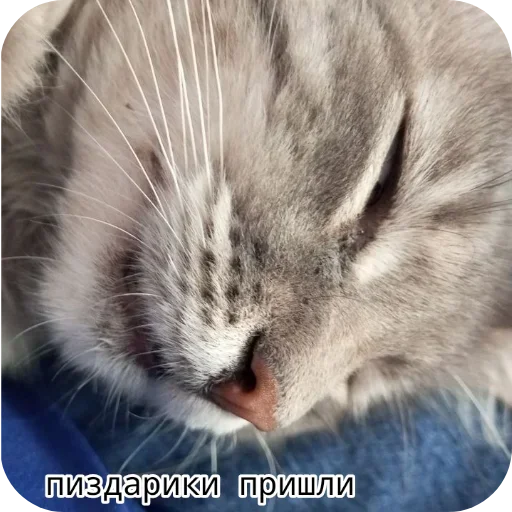 Больше стиков тут: @stikery4 - 