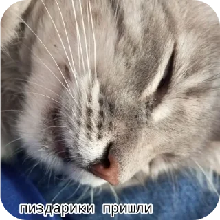 Sticker Больше стиков тут: @stikery4 - 9