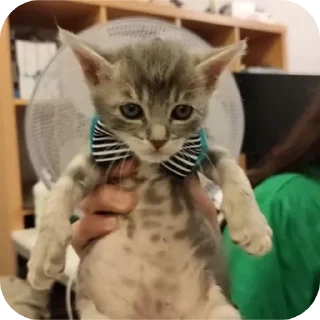 Sticker Больше стиков тут: @stikery4 - 0