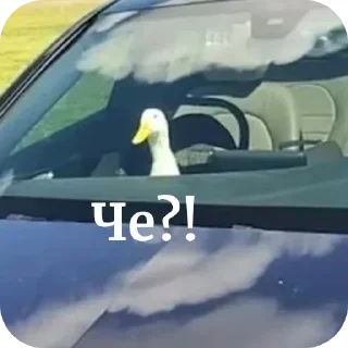 Sticker Больше стиков тут: @stikery4 - 10