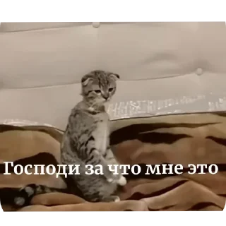 Sticker Больше стиков тут: @stikery4 - 2