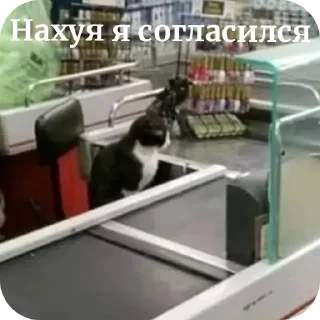 Sticker Больше стиков тут: @stikery4 - 5