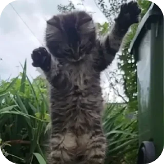 Sticker Больше стиков тут: @stikery4 - 3