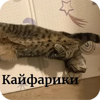 Sticker Больше стиков тут: @stikery4 - 7