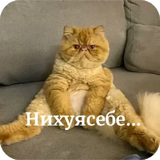 Sticker Больше стиков тут: @stikery4 - 8