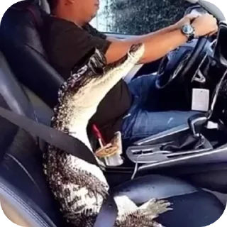 Sticker Больше стиков тут: @stikery4 - 4