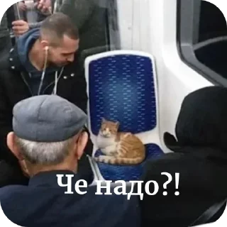 Sticker Больше стиков тут: @stikery4 - 6