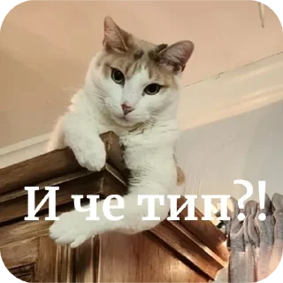 Sticker Больше стиков тут: @stikery4 - 1