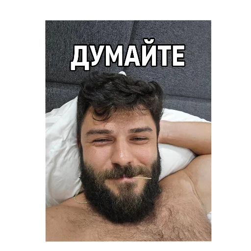 human beard human face facial hair