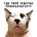 Стикер MT sticker pack - 10