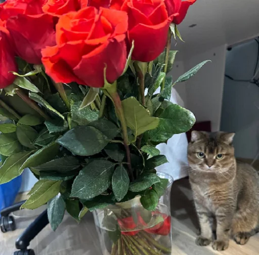 Sticker MUSYARICH - 1