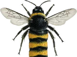 Sticker Стикеры тут: @stikeryv - 3