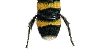 Sticker Стикеры тут: @stikeryv - 10