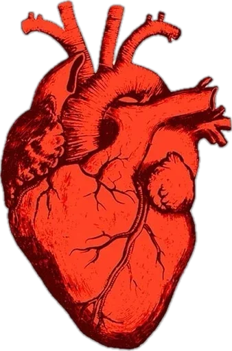 Sticker MWXuAfH_by_achestickbot - 1