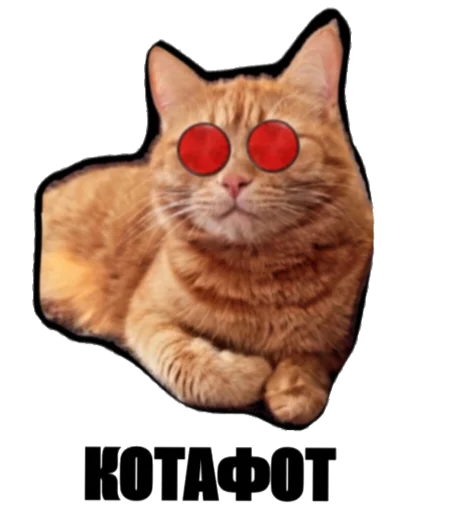 Sticker MYMOTOMOTO - 1