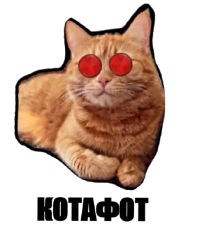 Sticker MY MOTO MOTO - 3