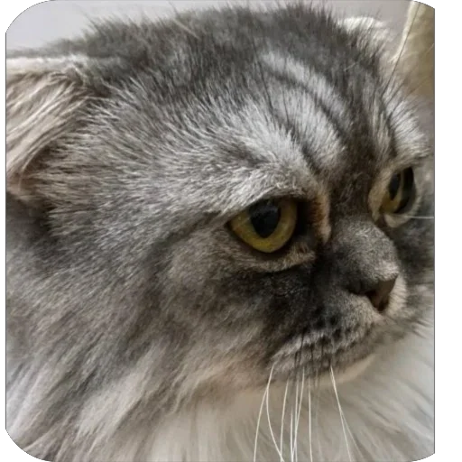 Sticker M_emotions - 1