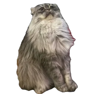 Sticker emotions - 1