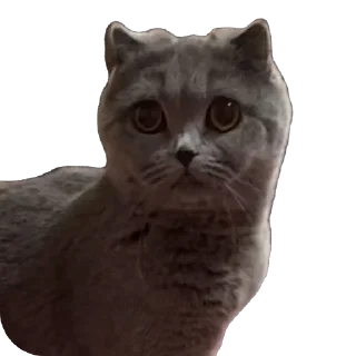 Sticker emotions - 4