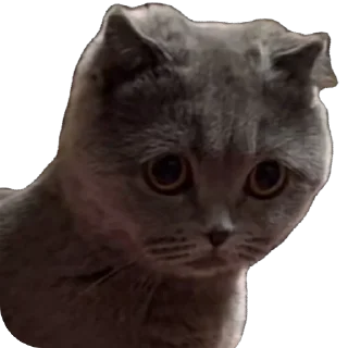 Sticker emotions - 0