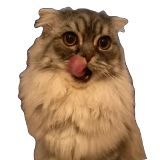 Sticker emotions - 2