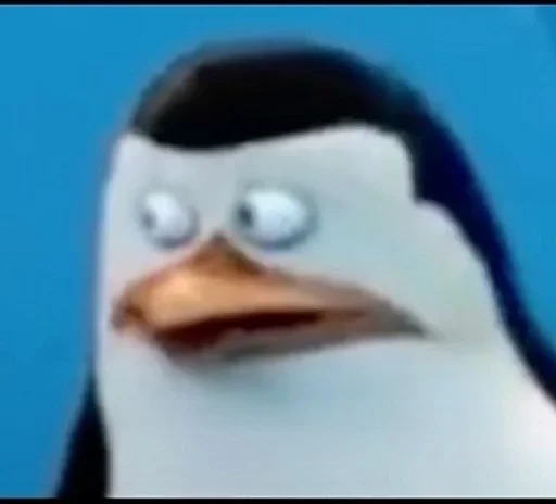 животное птица водная птица