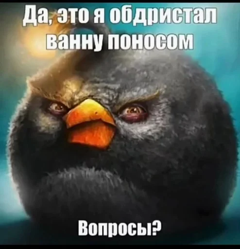 СМС животное птица