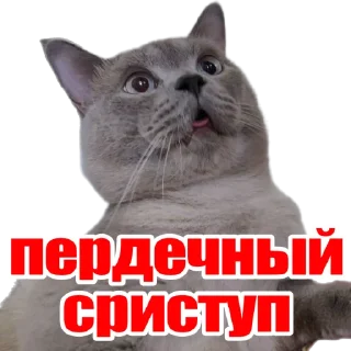 Стикер Mars - 5