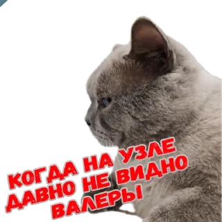 Стикер Mars - 1