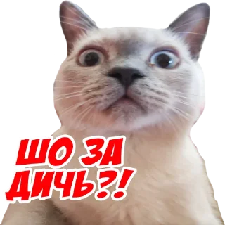 Стикер Mars - 8