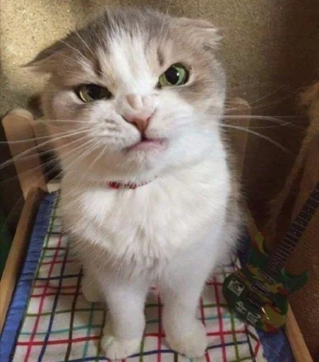 Стикер MadStalinism by @fStikBot - 1