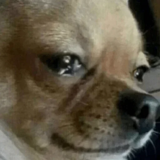 Стикер Mad_H - 1