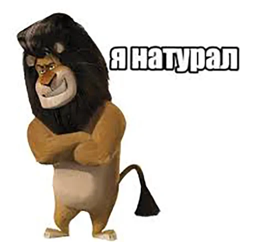 Стикер MadagascarFrench - 1