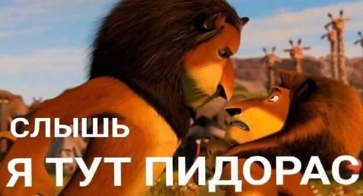 Sticker MadagascarFrench - 1